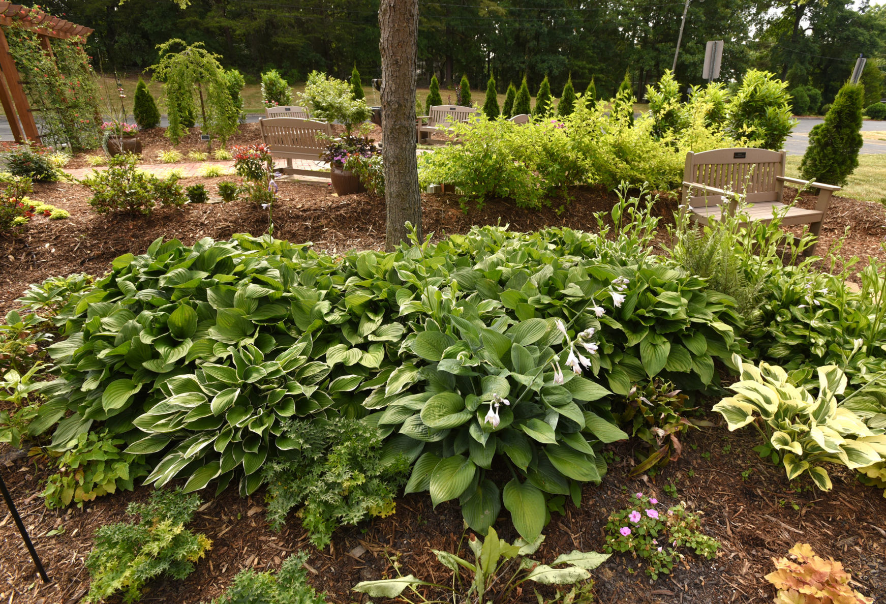 Christ Wesleyan Church prayer garden